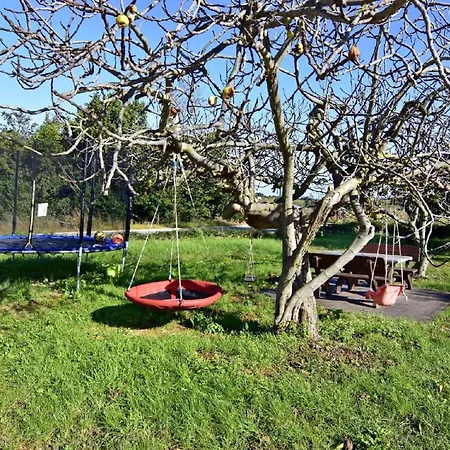 Einfache Silva Mit Terrasse * Bašanija