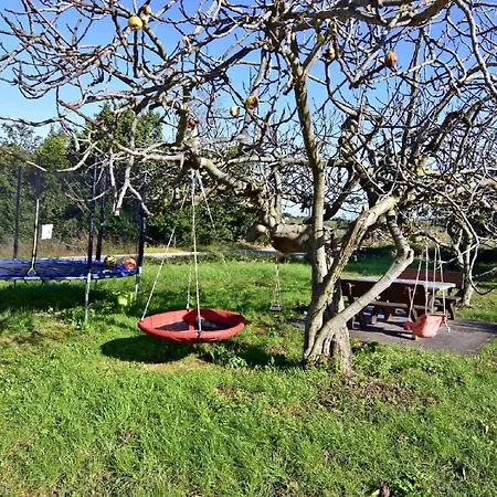 Einfache Silva Mit Terrasse * Basanija